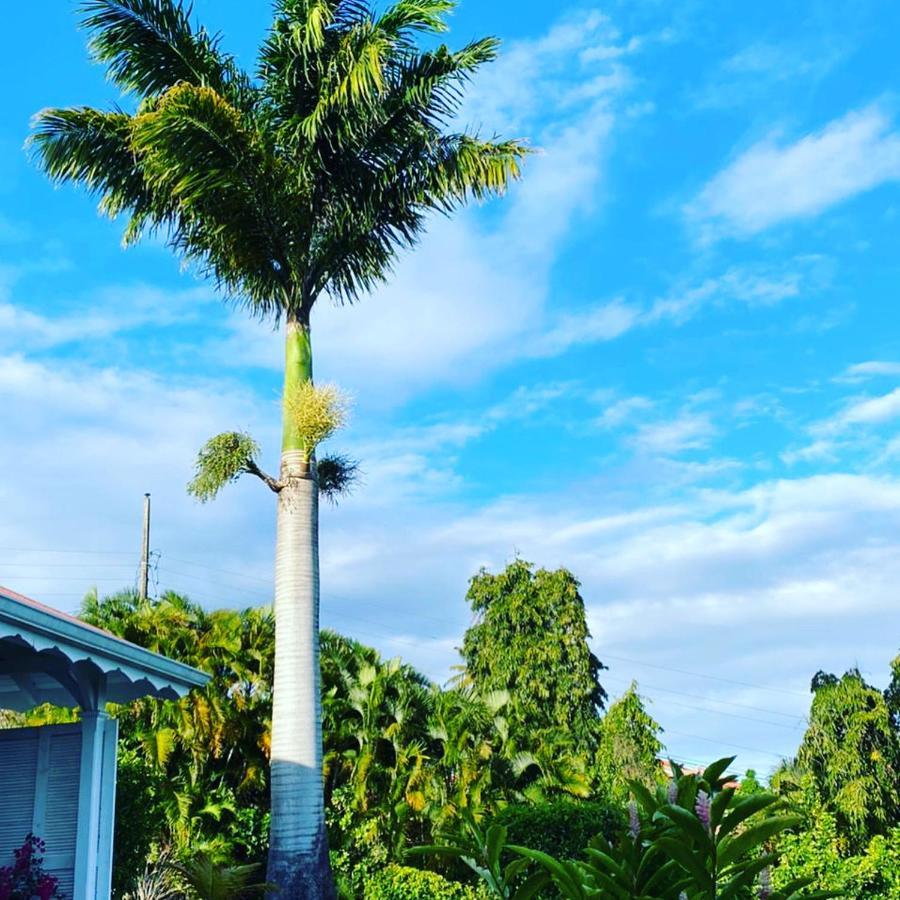 Villa Cajou Chambres D'Hotes Chez L'Habitant Et Zanzibar Cottage Trois-Rivières Eksteriør bilde